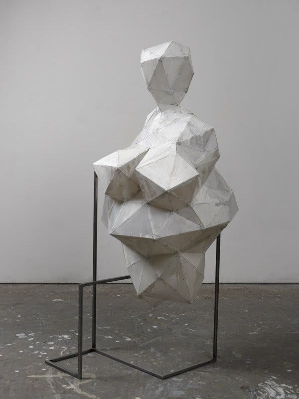 Artwork: Toby Ziegler, Metaplasmus (Second Version), 2013