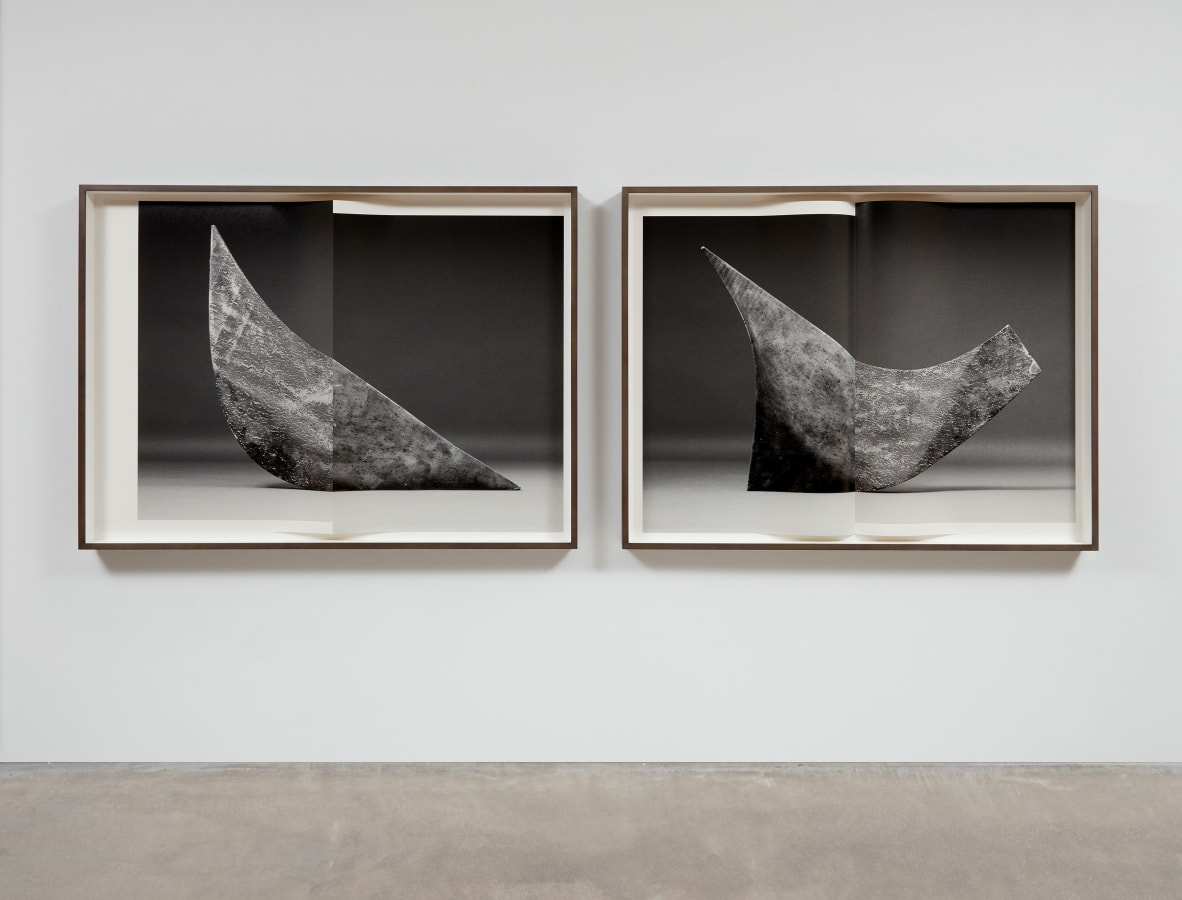 Artwork: Erin Shirreff, Figures (no. 1), 2019