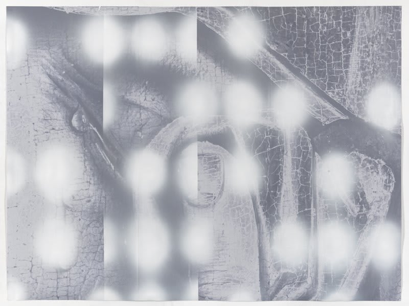 Artwork: Toby Ziegler, No Complexion, 2012