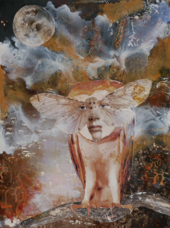 Artwork: Marnie Weber, It Isn't Easy Being Wise, 2019