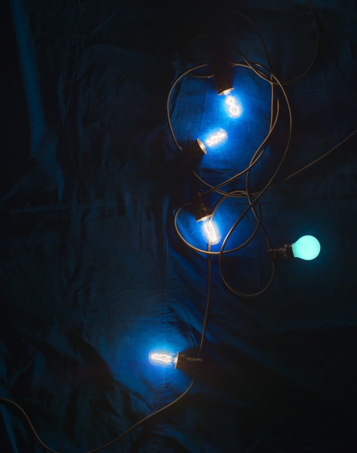 Artwork: João Penalva, Five light bulbs, clear and blue, 2013