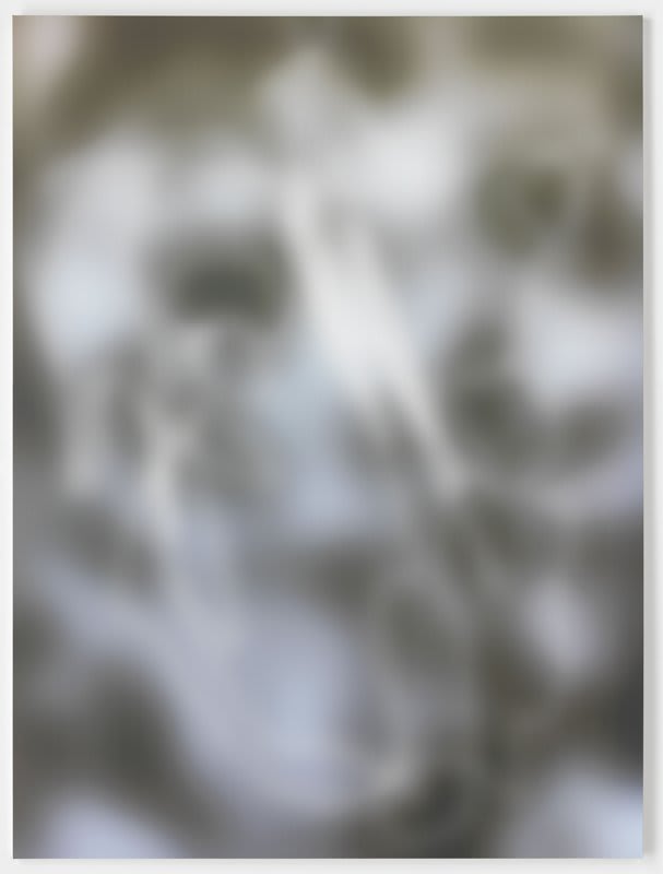Artwork: Jeff Elrod, Clone Alone, 2013