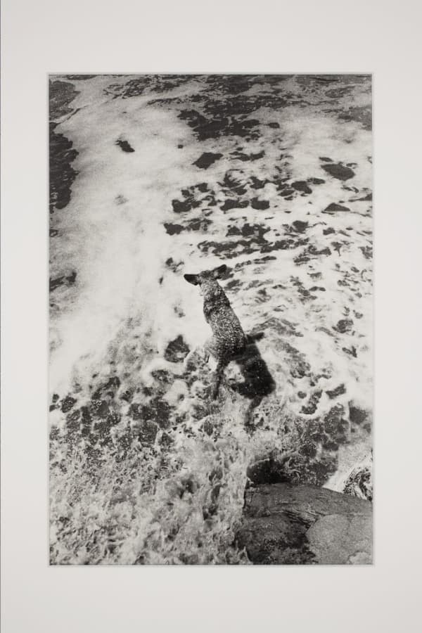 Artwork: Larry Clark, Untitled (TL33), 1970