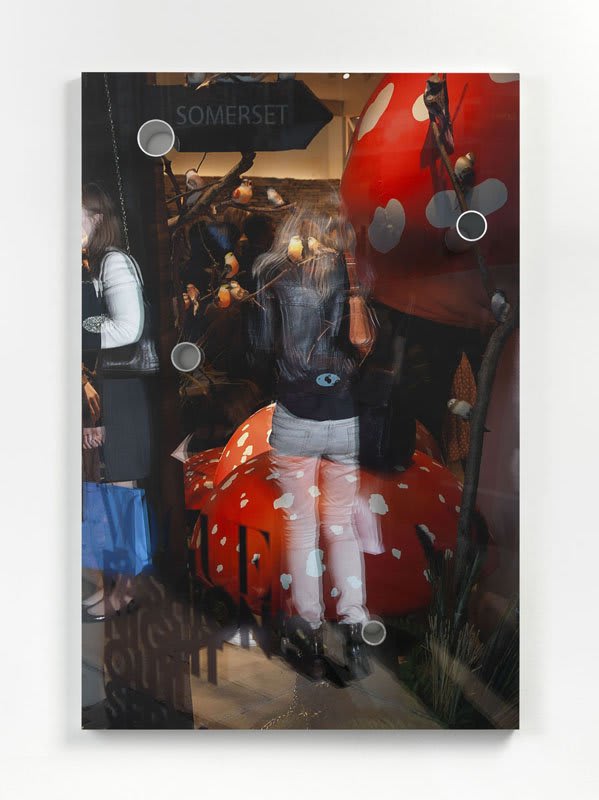 Artwork: Josephine Pryde, This Time Last Year, 2012
