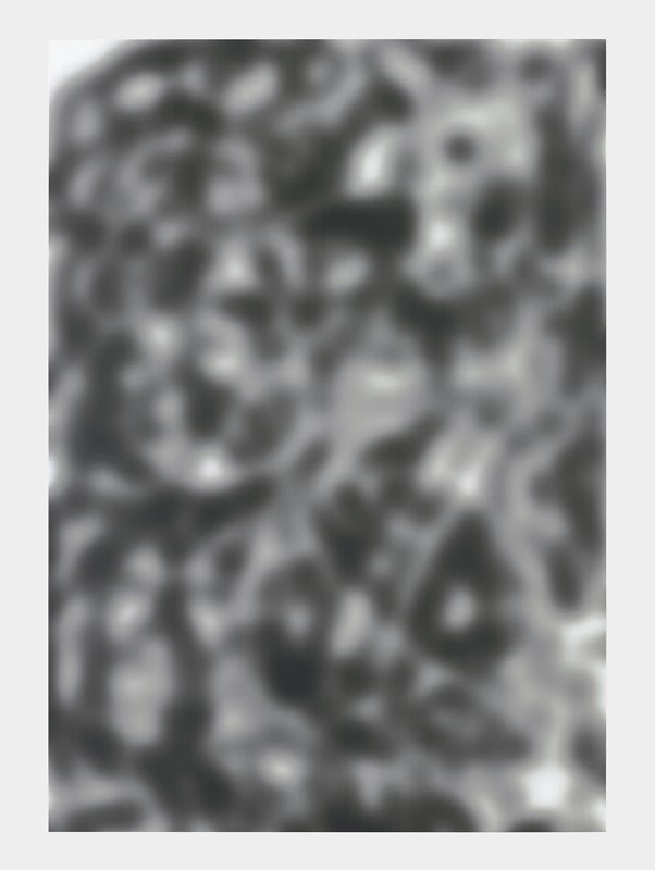 Artwork: Jeff Elrod, Echo Painting (b/w), 2012