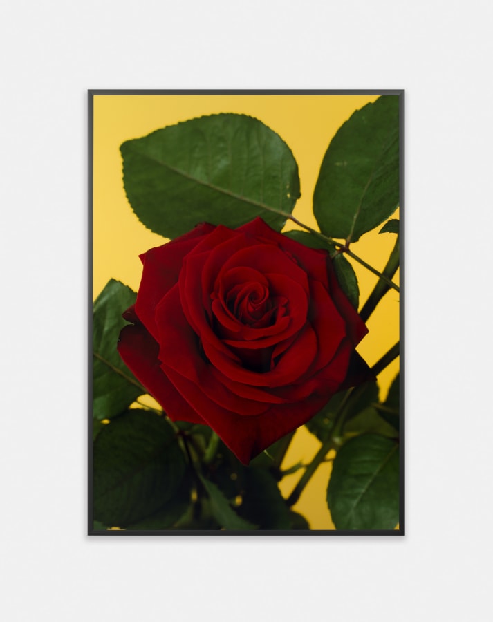 Artwork: Hans-Peter Feldmann, Untitled