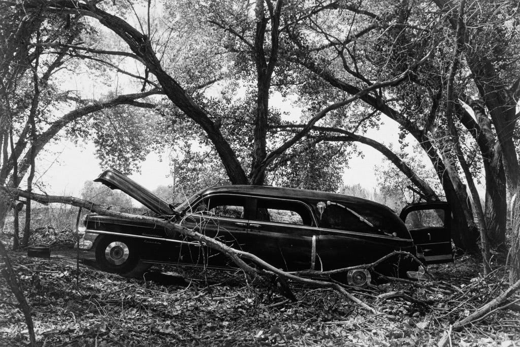 Artwork: Larry Clark, Untitled (TL55), 1972