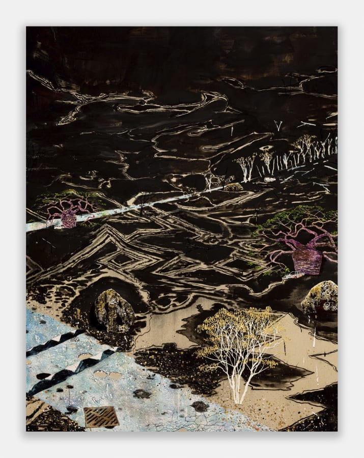 Artwork: William Mackinnon, The black swan, 2020