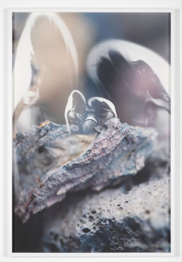 Artwork: Josephine Pryde, It's Not My Body, IX, 2011