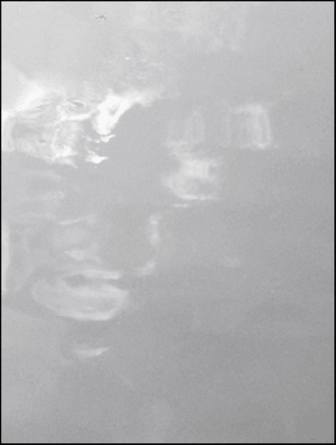 Artwork: João Penalva, Small artificial pond, Koshikawa, 2009
