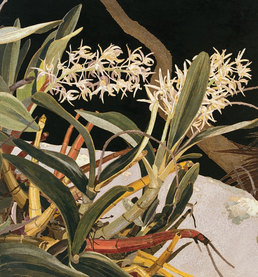Artwork: Cressida Campbell, Rock Lilies, 1999