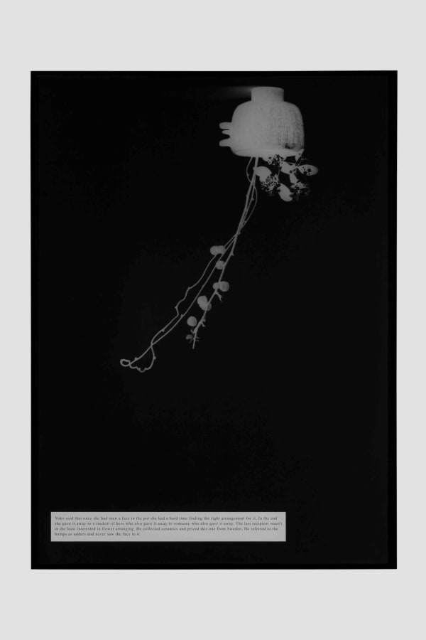 Artwork: João Penalva, Either a face or udders, 2008