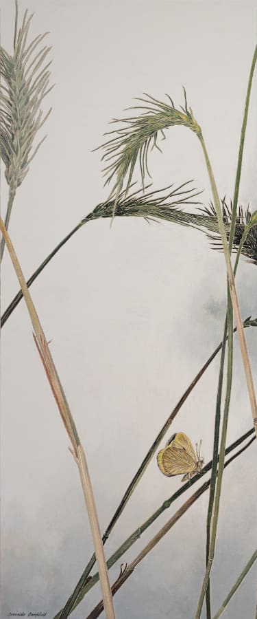 Artwork: Cressida Campbell, Wheat with Yellow Butterfly, 2017