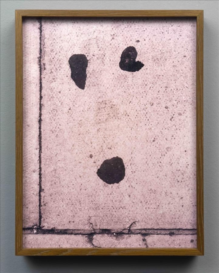 Artwork: João Penalva, Betty drunk or Joe, 2010