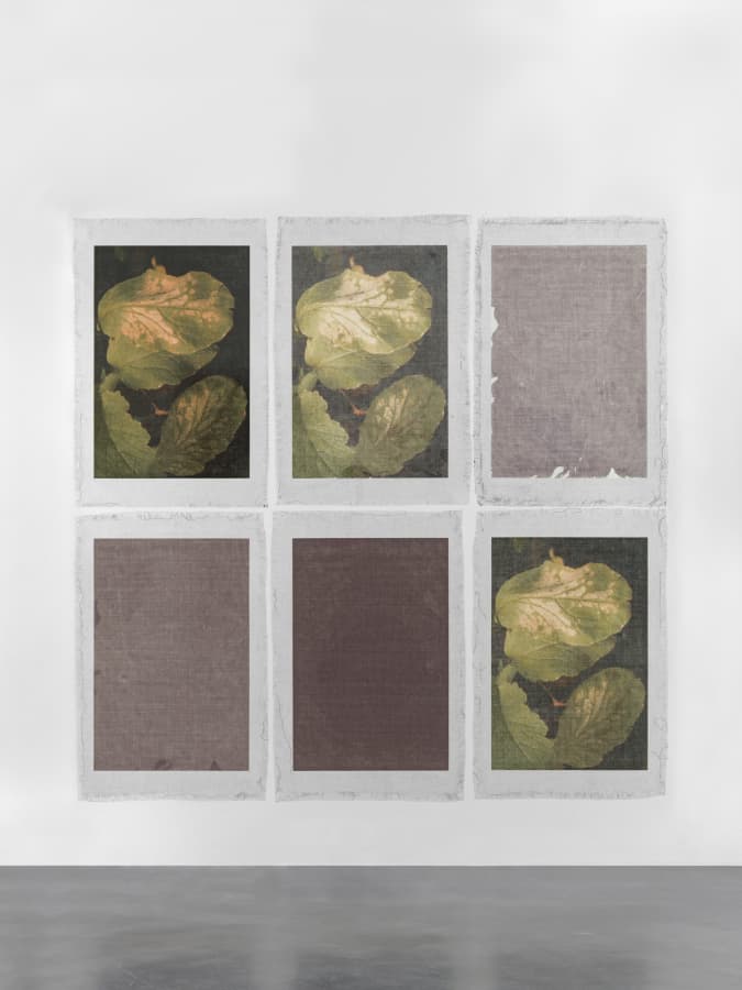 Artwork: Valerie Snobeck, Revolving Layers (Tongue Kissing), 2014