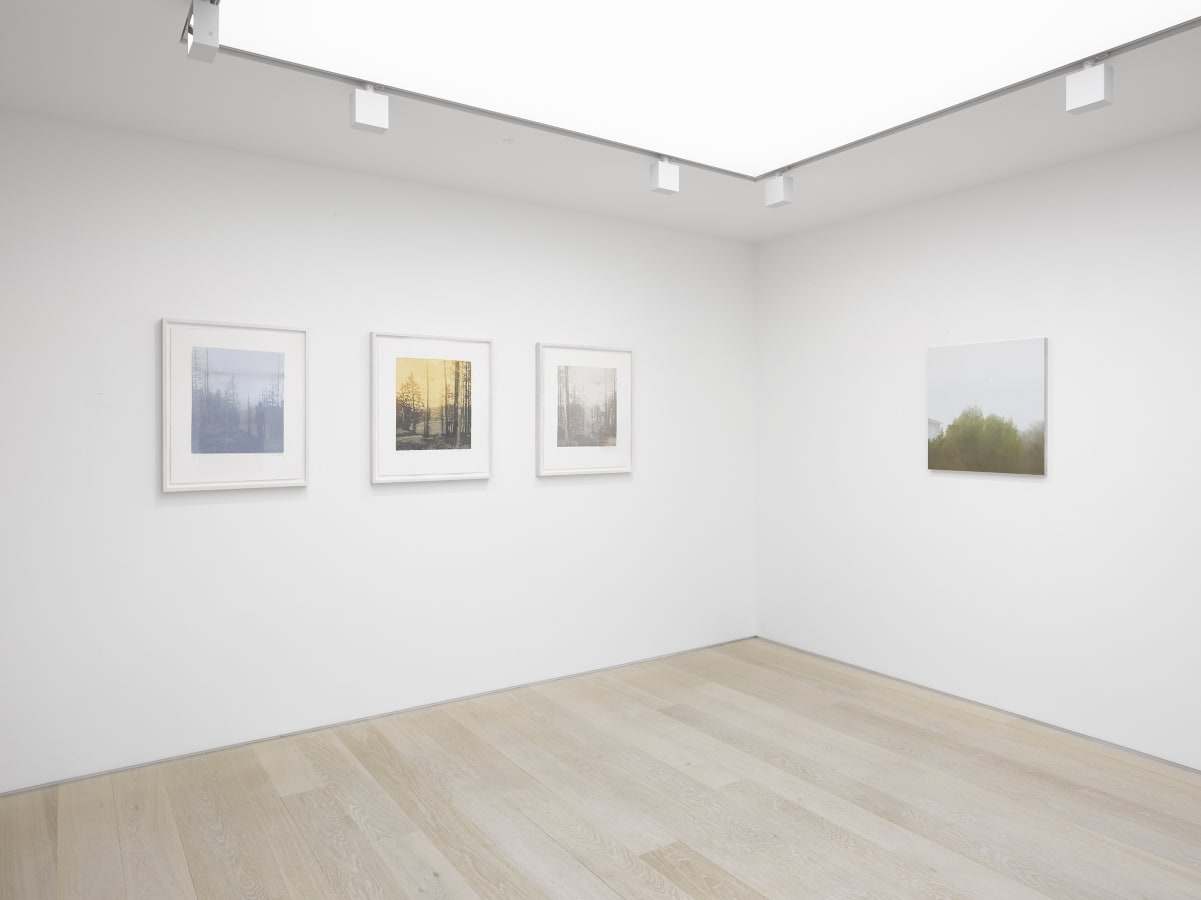 Installation view of Paul Winstanley at Alan Cristea Gallery, London, 2018. Photo: Jack Hems.