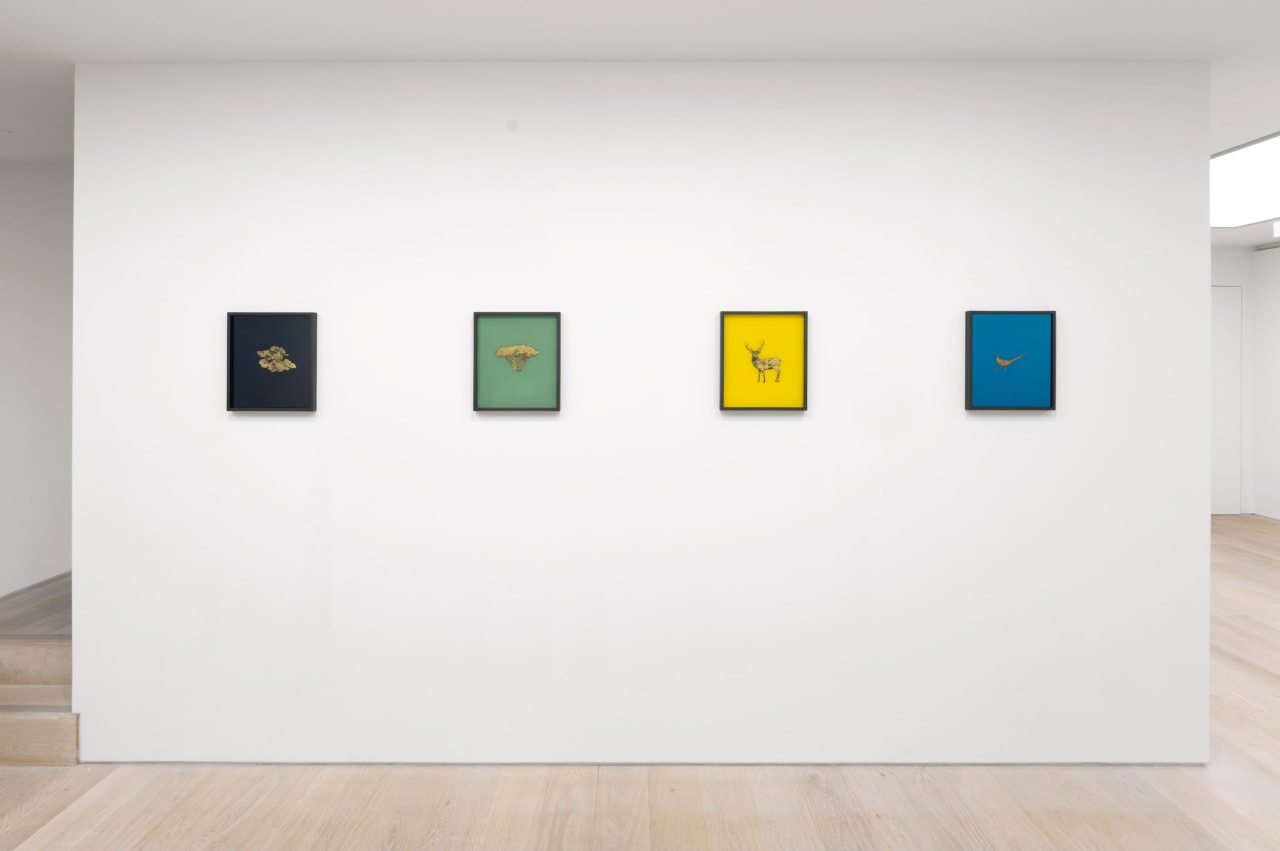 Miriam de Búrca: Noblesse Oblige installation, 2024. Courtesy Cristea Roberts Gallery, London. Photo Sam Roberts.