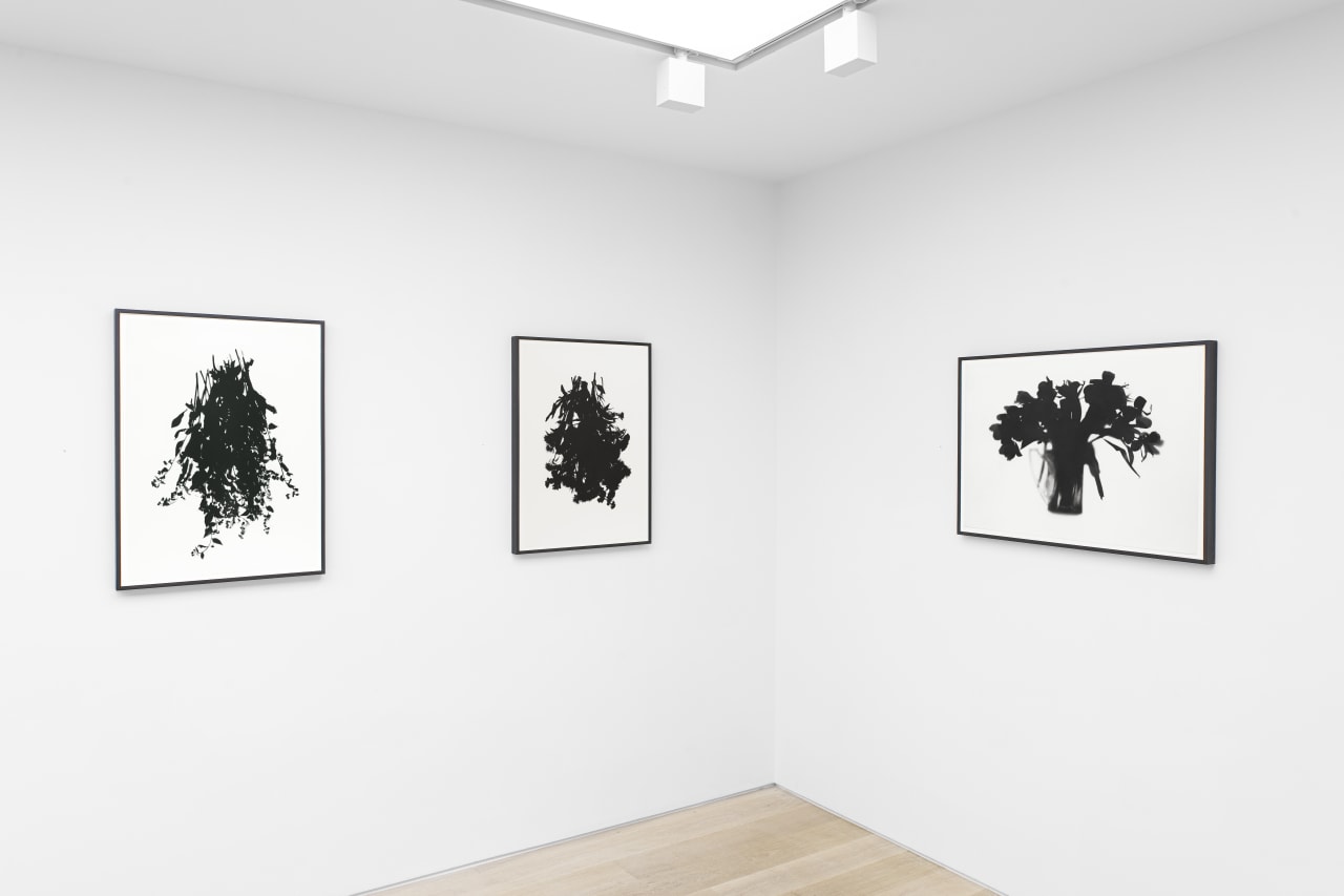 Installation view of Cornelia Parker: Light Passes, Shadows Fall at Cristea Roberts Gallery, London, 2021. Photo: Sam Roberts Photography.