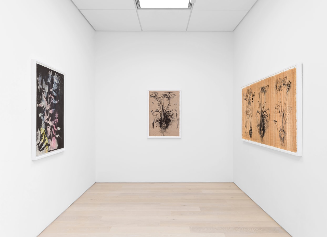 Installation view of Jim Dine: A History of Gardening at Cristea Roberts Gallery, London, 2022. Photo: Sam Roberts Photography.