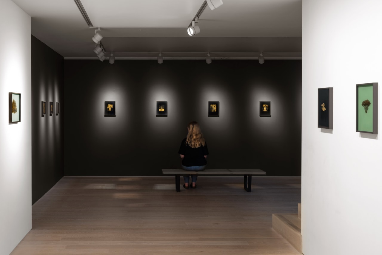 Miriam de Búrca: Noblesse Oblige installation, 2024. Courtesy Cristea Roberts Gallery, London. Photo Sam Roberts.