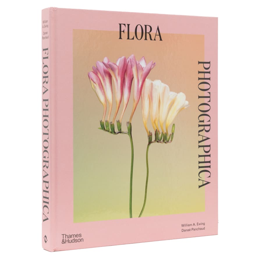 Flora flowers best sale