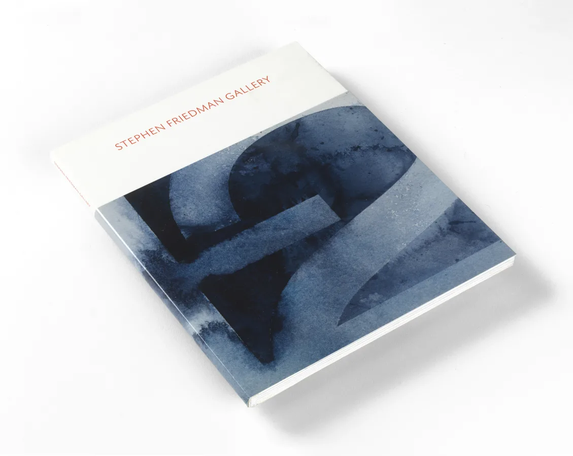 Stephen Friedman Gallery 20 Years