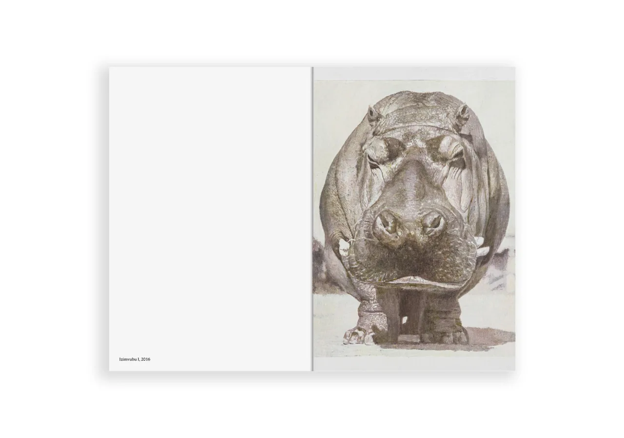 Juan Araujo: Clouds and Shadows on Mars / Over Time CURA