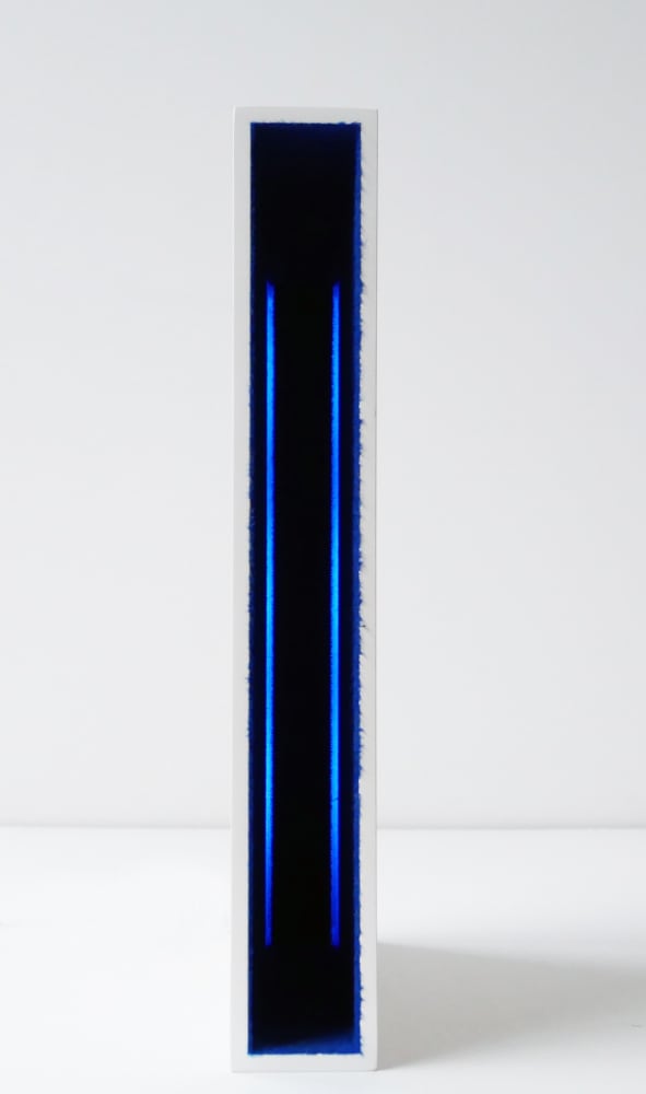 Martin RICHMAN, Bookspace (floqué bleu / LED bleu), 1998-2002