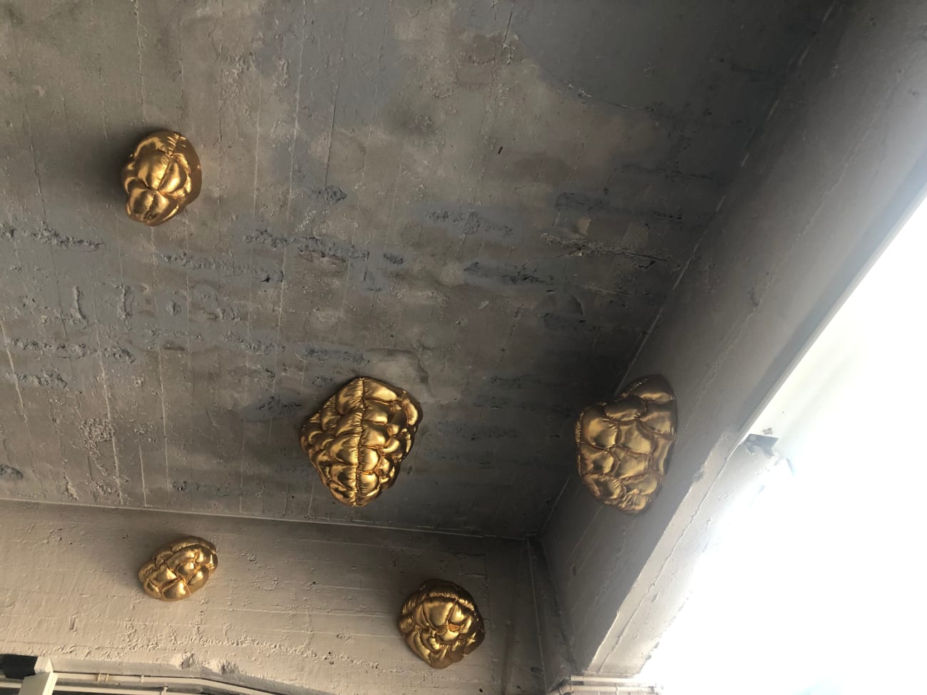 Elodie ANTOINE, 5 champignons dorés, 2021