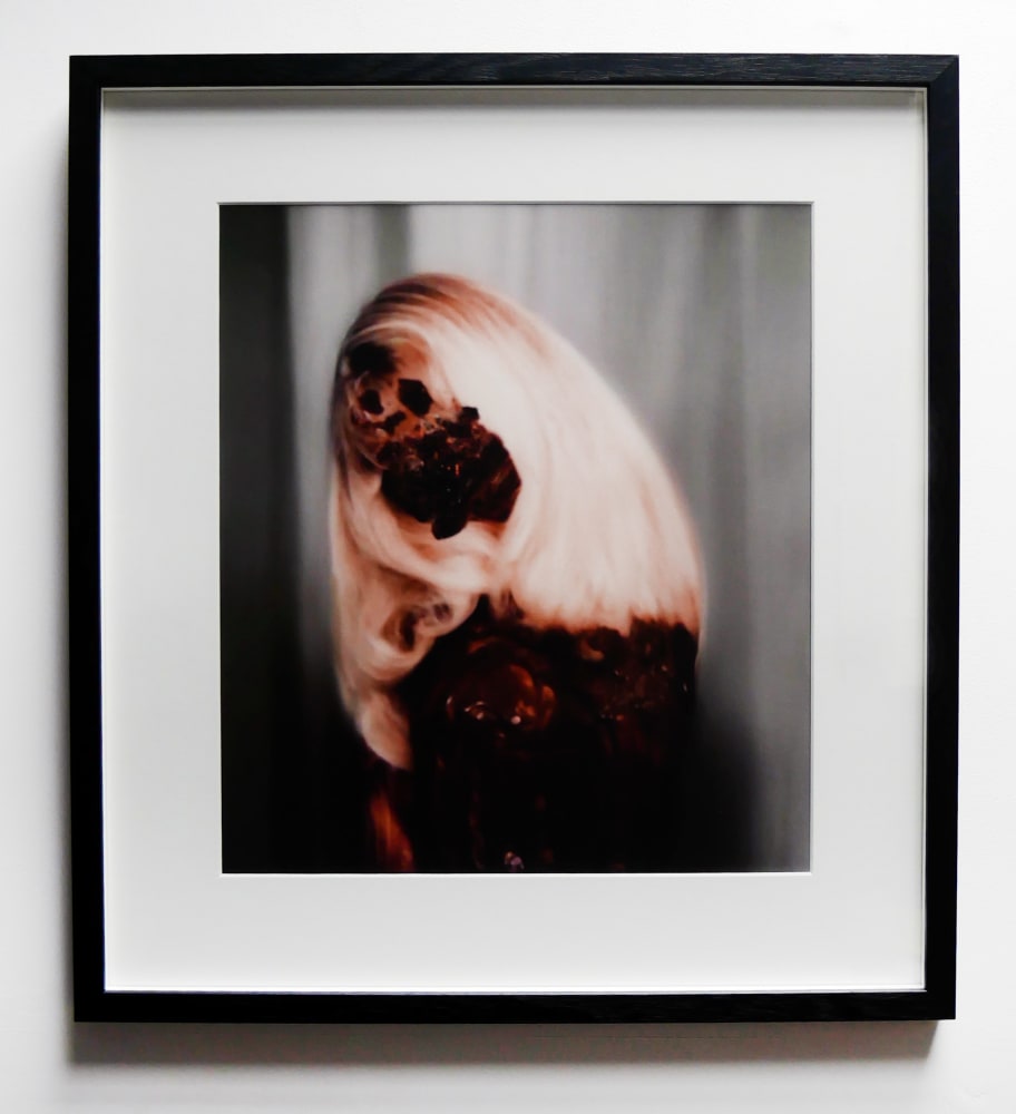 Vincent BERGERAT, Everything is food (D), 2008