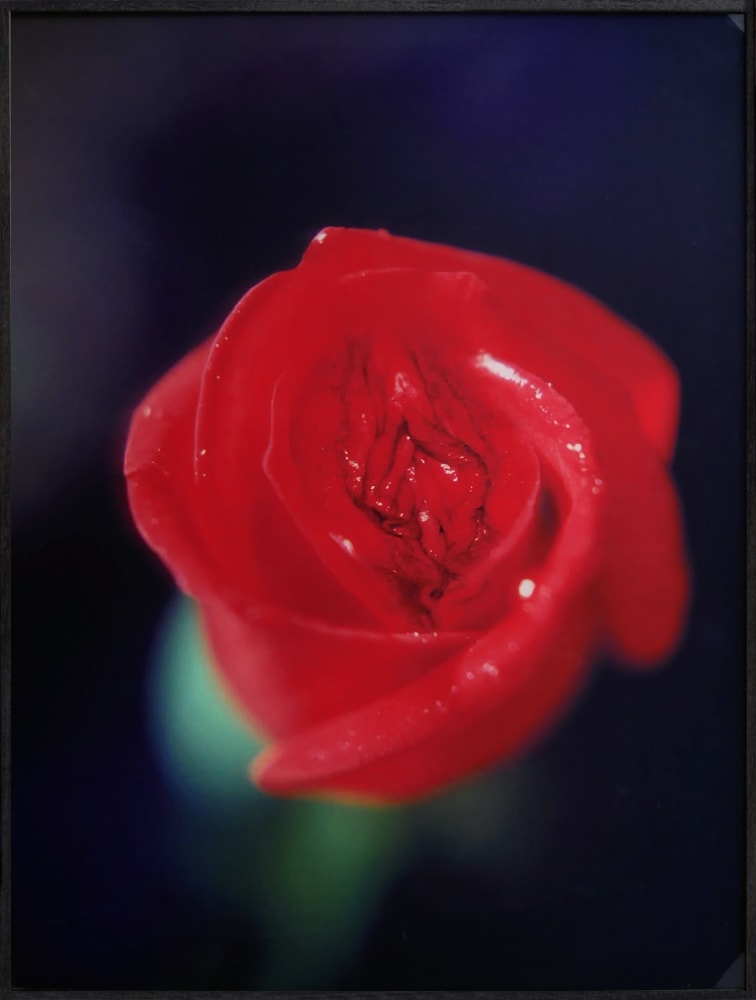 Robert GLIGOROV, Tutti Frutti II, 1996