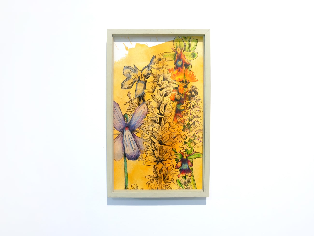 Florentine & Alexandre LAMARCHE-OVIZE, Elisée, un herbier, 2018