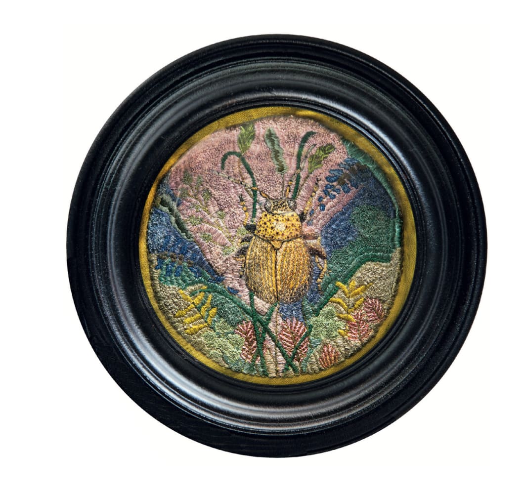 Renate RABUS, L’ Altise des jardins, 2010
