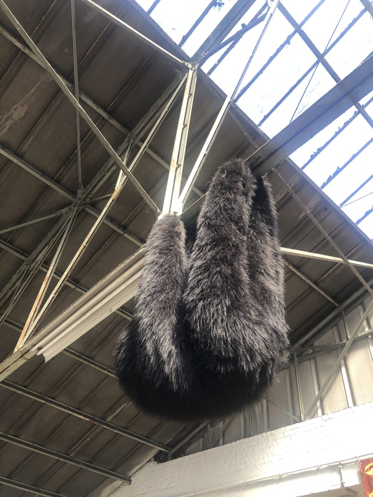 Elodie ANTOINE, Paresseux noir, 2021