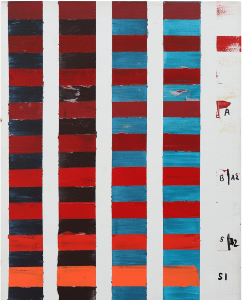 Tanya GOEL, Untitled, 2012-2017