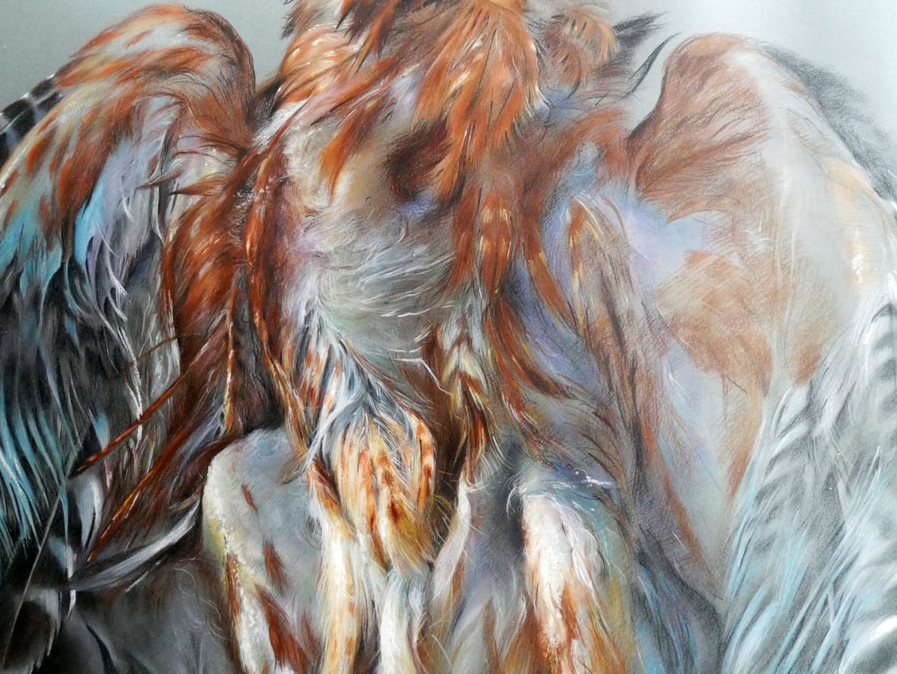 David NICHOLSON, Oiled hawk, 2014