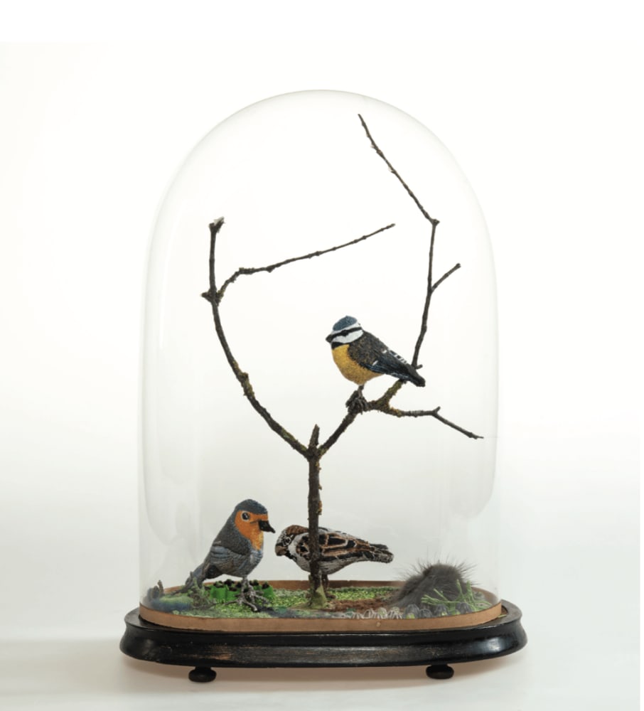Renate RABUS, Mésange à tête bleue, rouge gorge et moineau, 2019