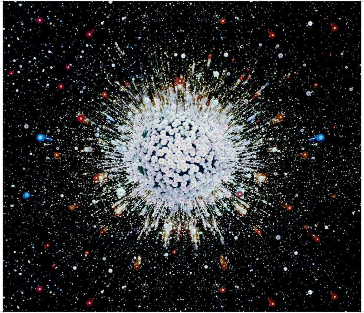 Robert GLIGOROV, Big Bloom Bang, 2009