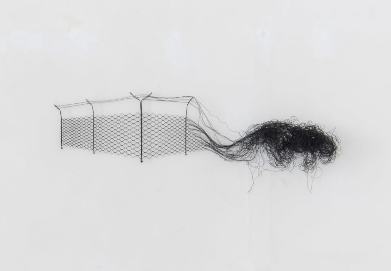 Elodie ANTOINE, Grillage en dentelle aux fuseaux noirs, 2022