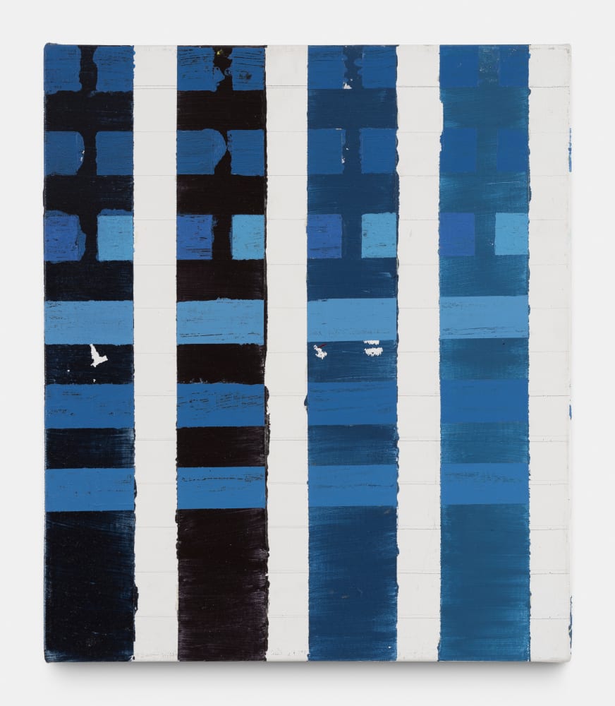 Tanya GOEL, Untitled, 2012-2017