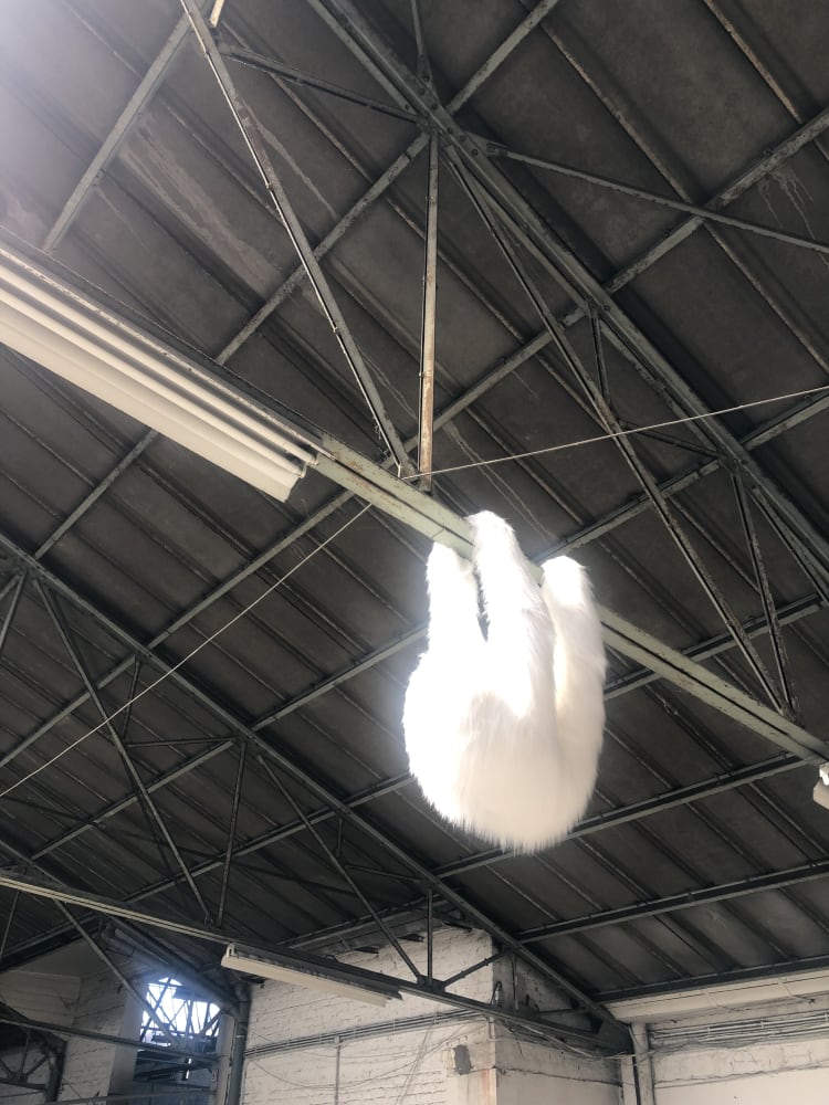 Elodie ANTOINE, Paresseux blanc, 2021