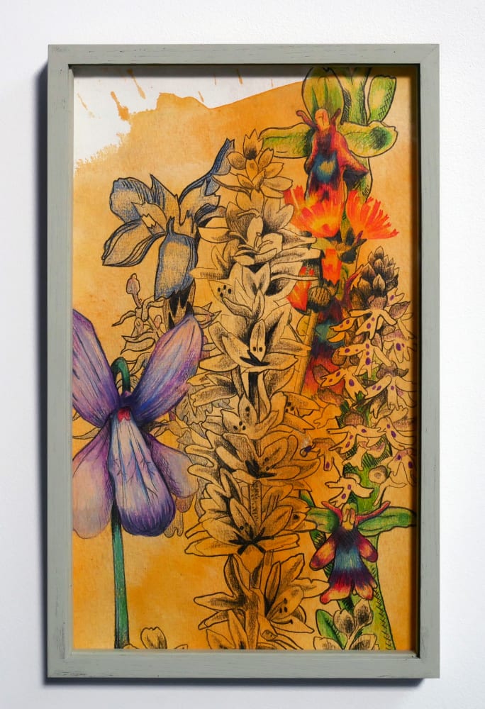 Florentine & Alexandre LAMARCHE-OVIZE, Elisée, un herbier, 2018