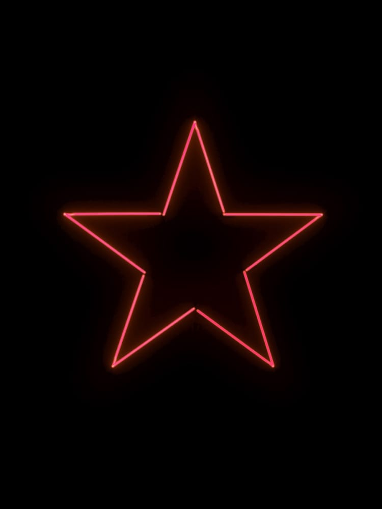 Gavin TURK, STAR, 2013