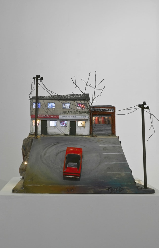 Tracey SNELLING, Oakland Sideshow, 2013