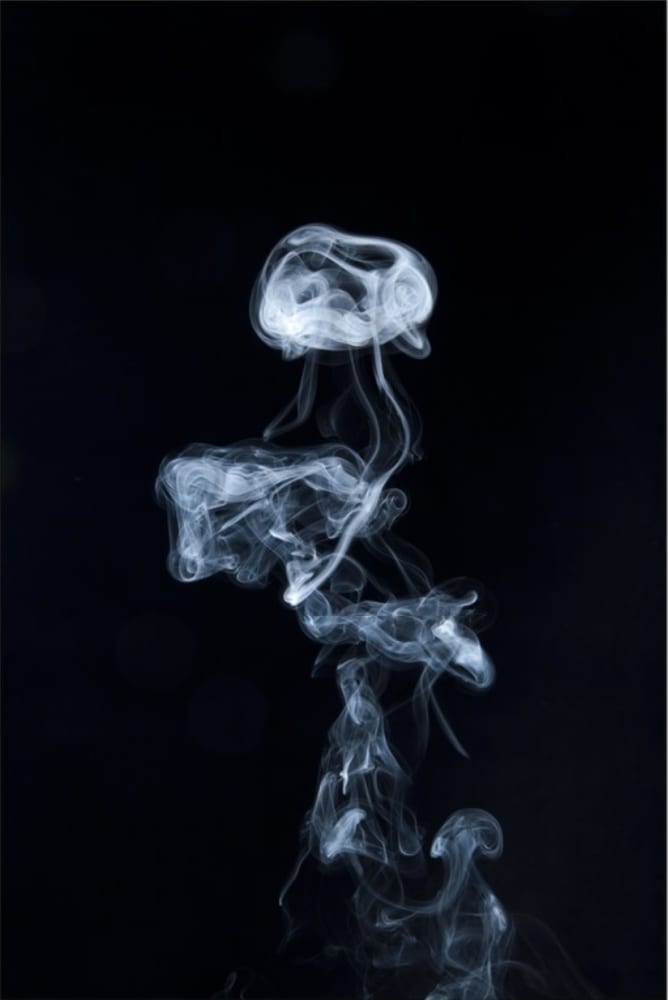 Gavin TURK, Parapraxis, 2013