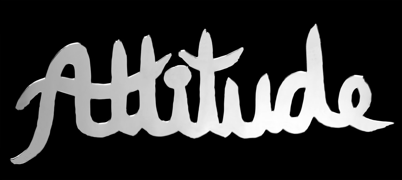 Delphine DE SAXE-COBOURG, Attitude, 2020