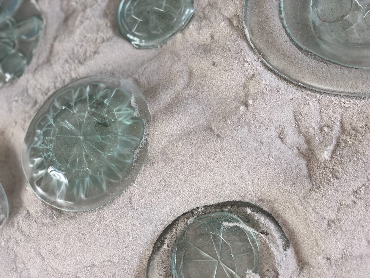 Elodie ANTOINE, Meduses en verre, 2020