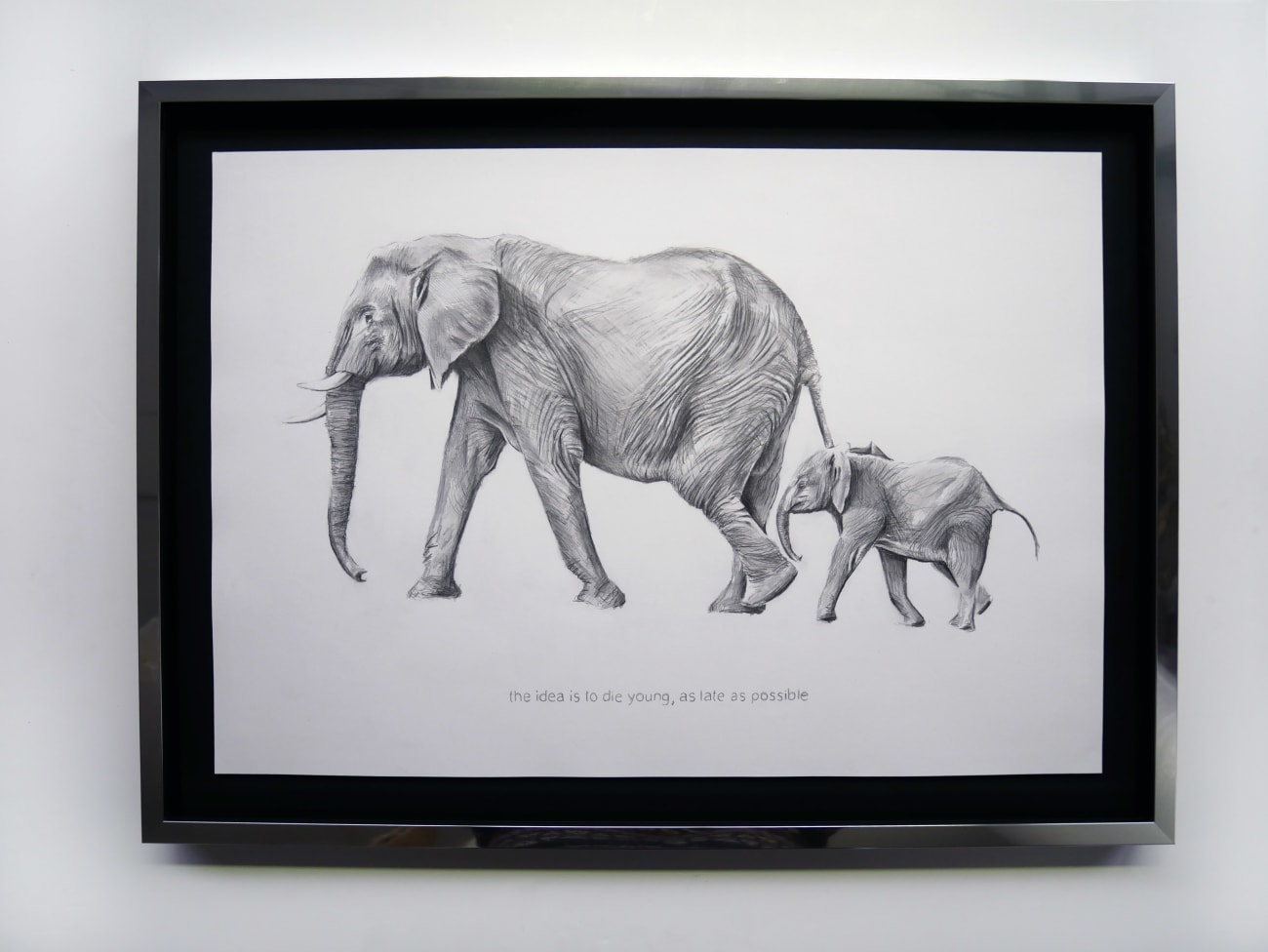 Filip MARKIEWICZ, Elephant (The idea is to die young , as late as possible), 2016