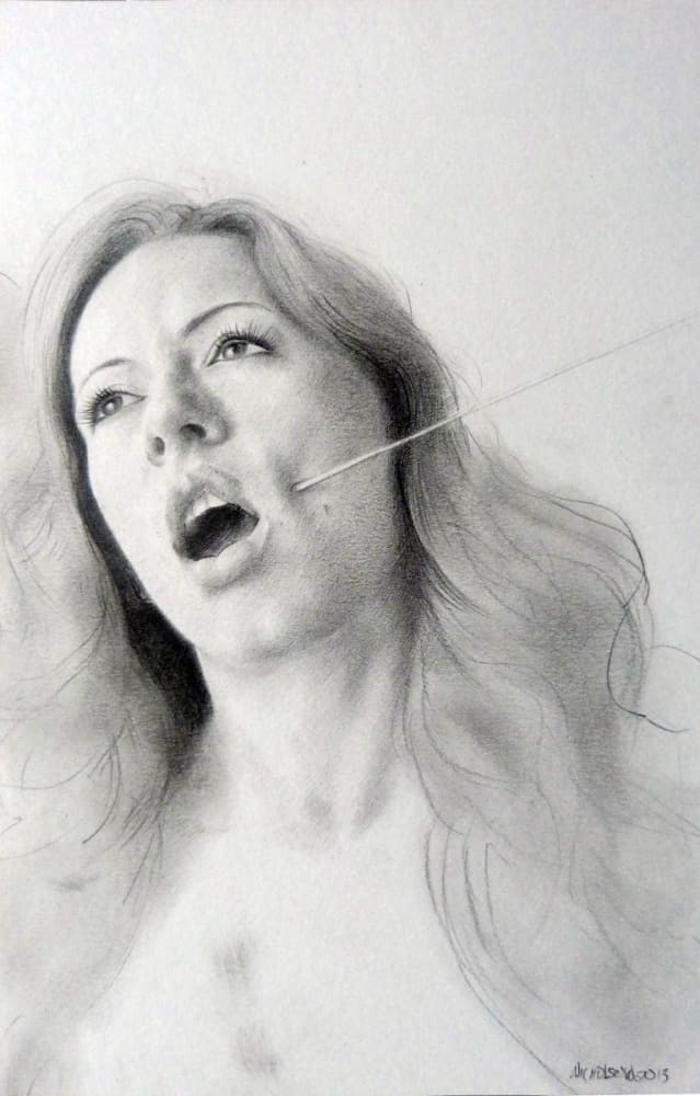 David NICHOLSON, Untitled (Tracie needle), 2014