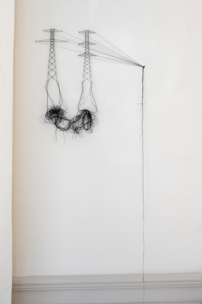 Elodie ANTOINE, Grues en dentelle aux fuseaux, 2022